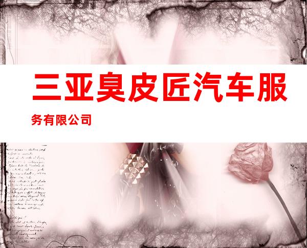 三亚臭皮匠汽车服务有限公司