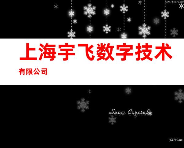 上海宇飞数字技术有限公司