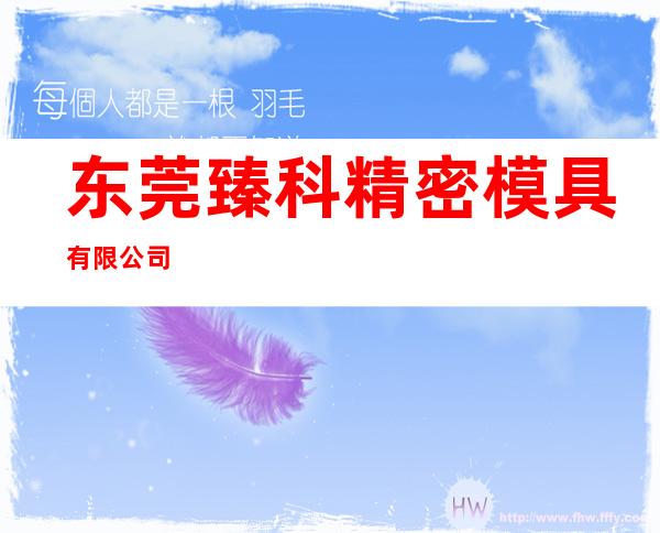 东莞臻科精密模具有限公司