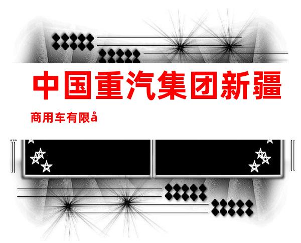 中国重汽集团新疆商用车有限公司