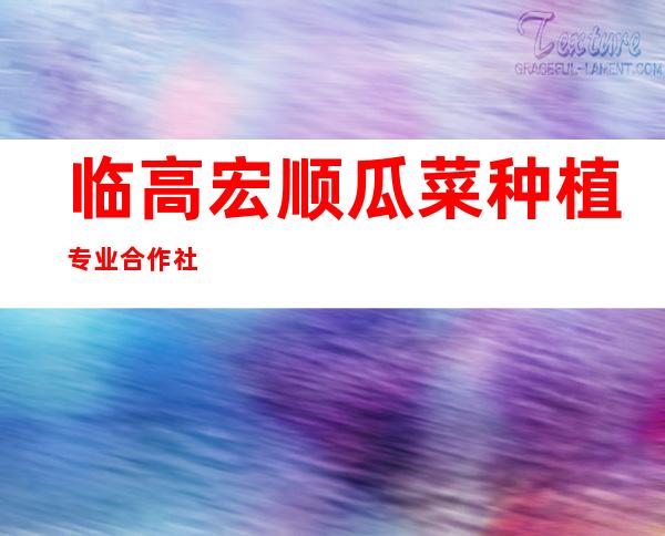 临高宏顺瓜菜种植专业合作社