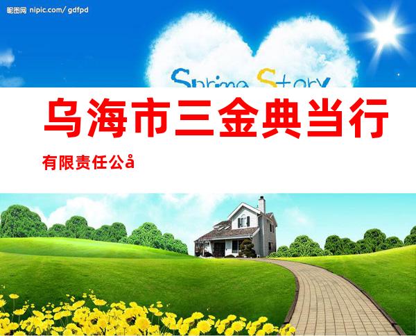 乌海市三金典当行有限责任公司