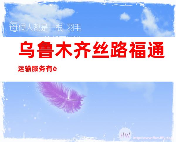 乌鲁木齐丝路福通运输服务有限公司
