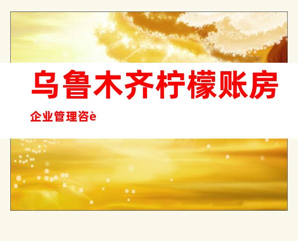 乌鲁木齐柠檬账房企业管理咨询有限公司