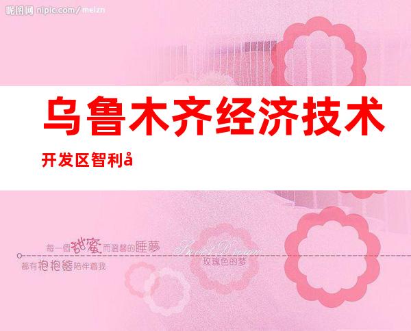 乌鲁木齐经济技术开发区智利化工厂