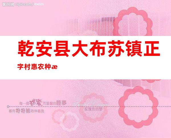 乾安县大布苏镇正字村惠农种植专业合作社