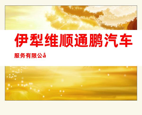 伊犁维顺通鹏汽车服务有限公司