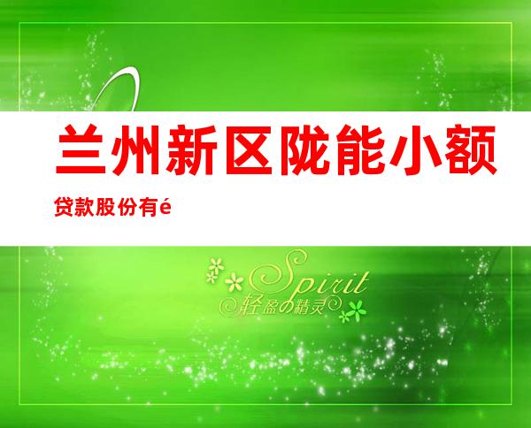 兰州新区陇能小额贷款股份有限公司