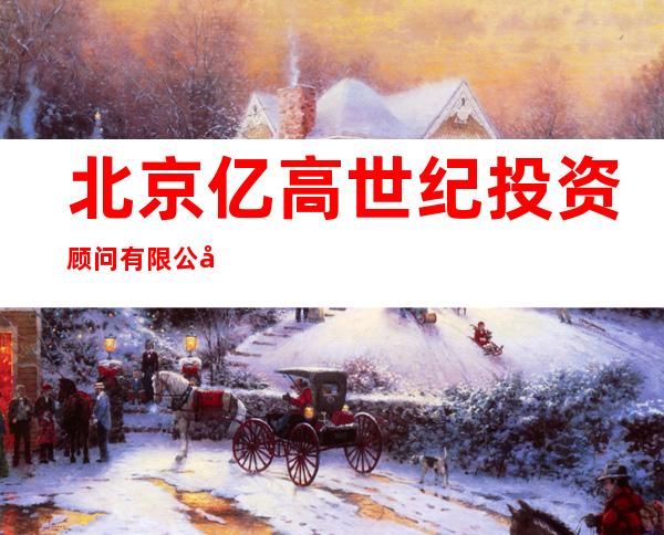 北京亿高世纪投资顾问有限公司