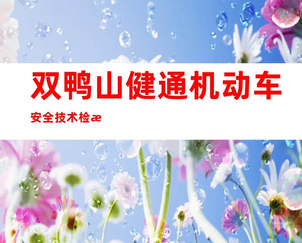 双鸭山健通机动车安全技术检测有限公司