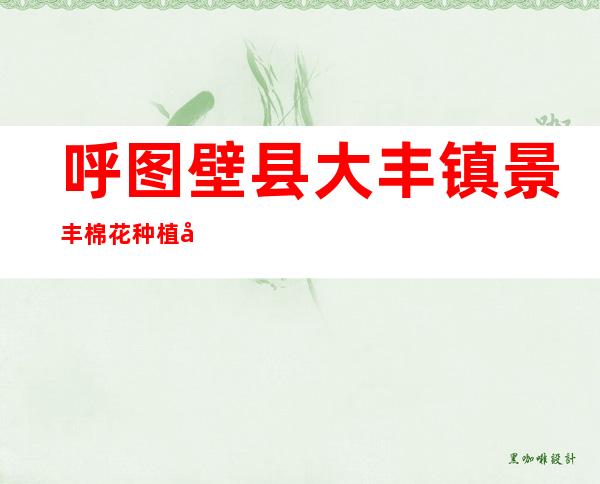 呼图壁县大丰镇景丰棉花种植农民专业合作社