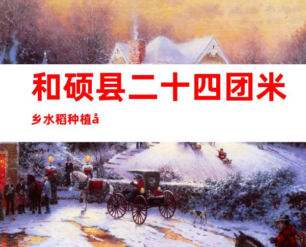 和硕县二十四团米乡水稻种植农民专业合作社