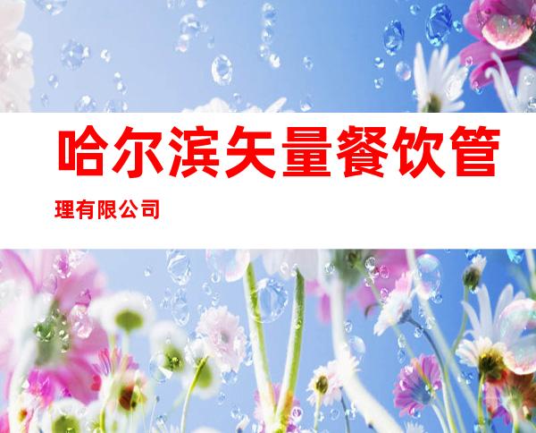 哈尔滨矢量餐饮管理有限公司