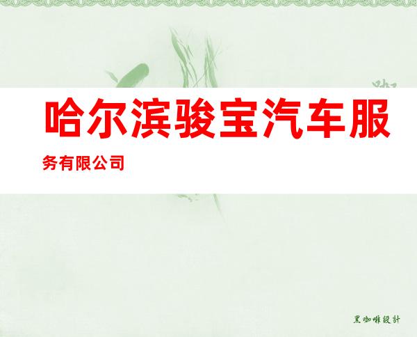 哈尔滨骏宝汽车服务有限公司