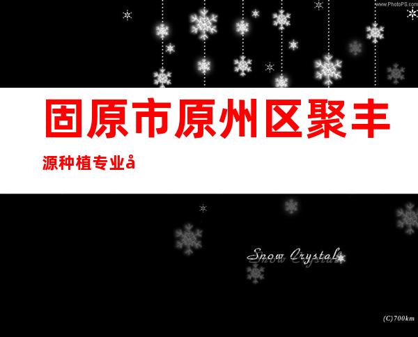 固原市原州区聚丰源种植专业合作社联合社
