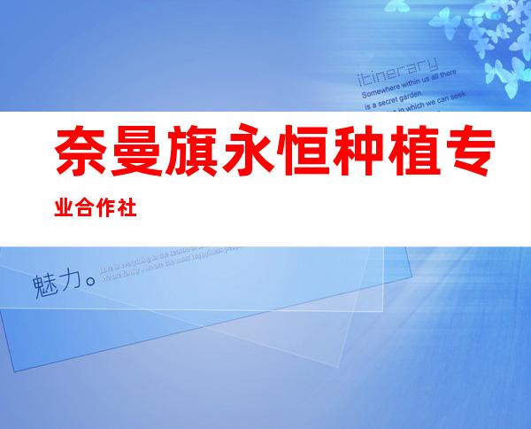 奈曼旗永恒种植专业合作社