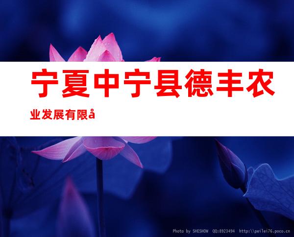 宁夏中宁县德丰农业发展有限公司
