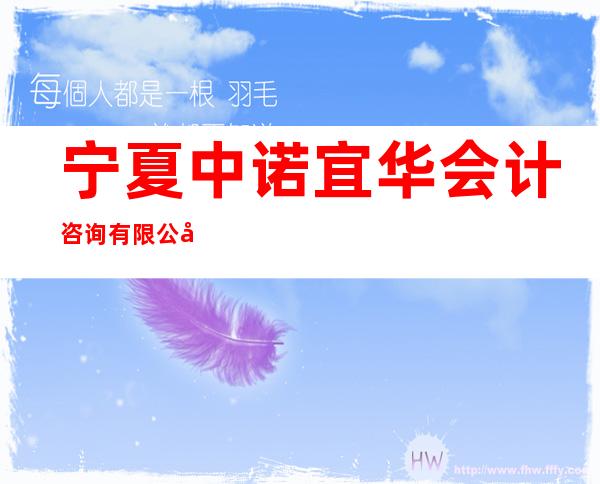 宁夏中诺宜华会计咨询有限公司