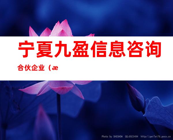宁夏九盈信息咨询合伙企业（有限合伙）