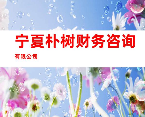 宁夏朴树财务咨询有限公司