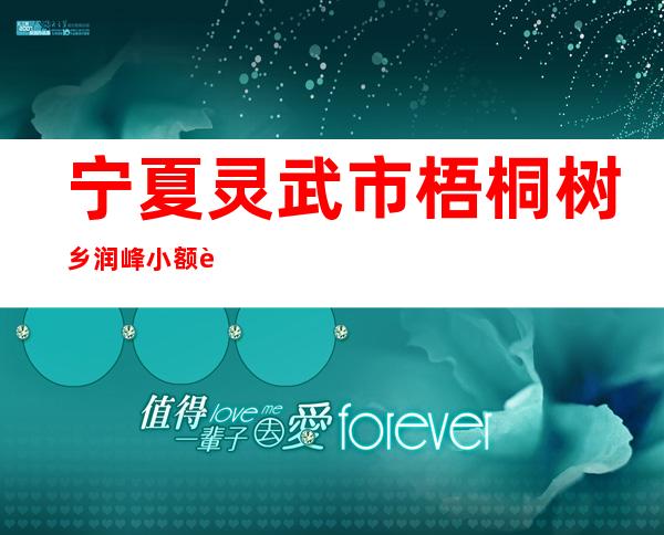 宁夏灵武市梧桐树乡润峰小额贷款有限公司