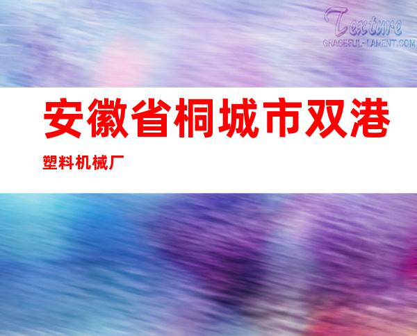 安徽省桐城市双港塑料机械厂