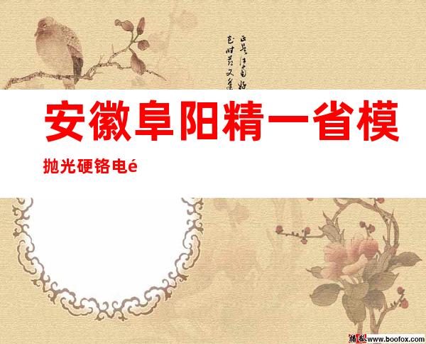 安徽阜阳精一省模抛光硬铬电镀厂