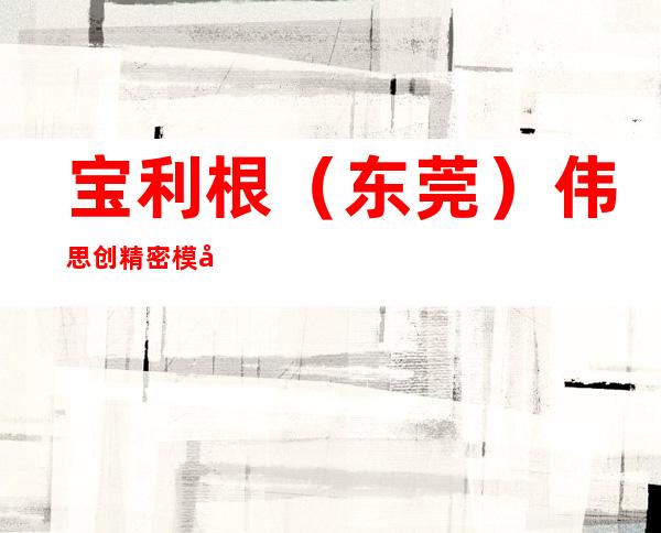 宝利根（东莞）伟思创精密模具有限公司