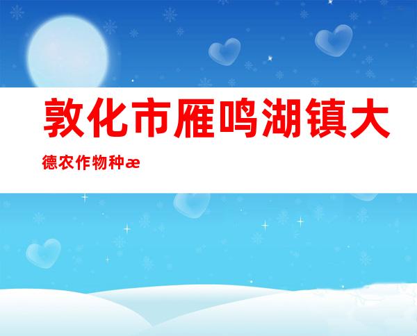 敦化市雁鸣湖镇大德农作物种植合作社