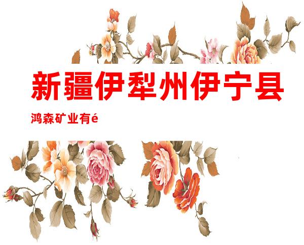 新疆伊犁州伊宁县鸿森矿业有限责任公司煤矿