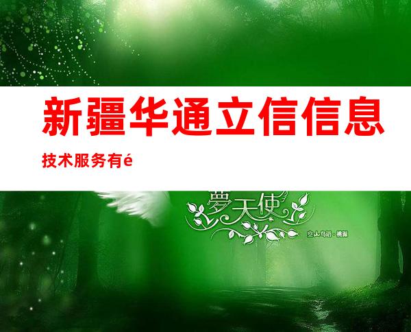 新疆华通立信信息技术服务有限公司