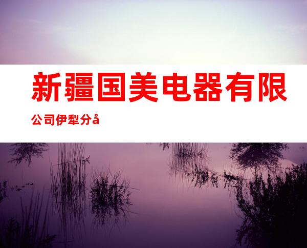 新疆国美电器有限公司伊犁分公司