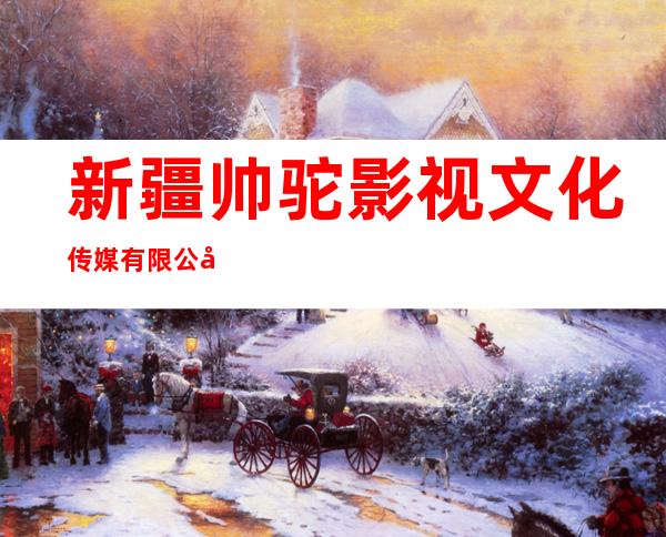 新疆帅驼影视文化传媒有限公司
