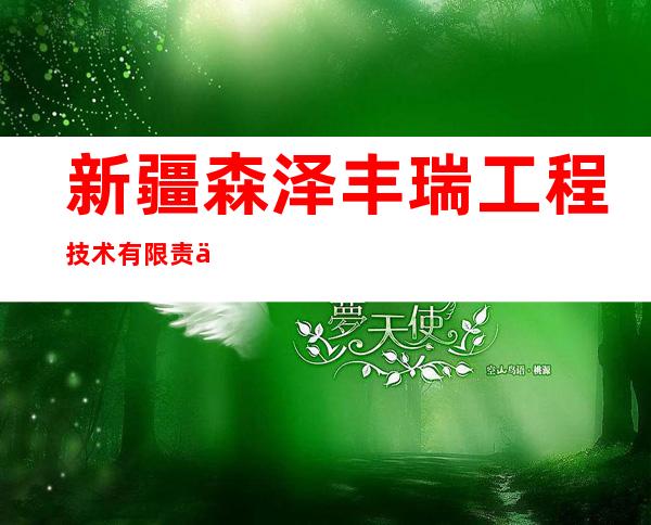 新疆森泽丰瑞工程技术有限责任公司