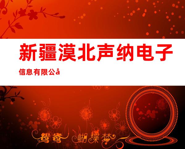 新疆漠北声纳电子信息有限公司