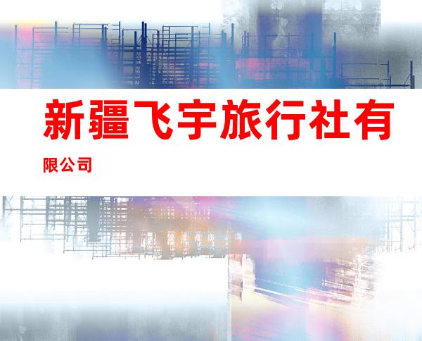 新疆飞宇旅行社有限公司