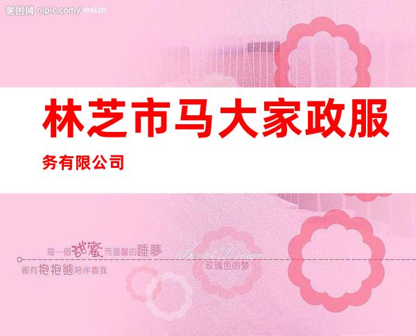 林芝市马大家政服务有限公司