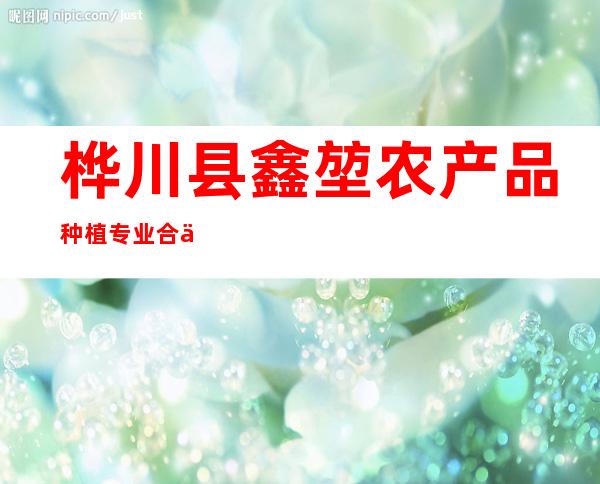 桦川县鑫堃农产品种植专业合作社