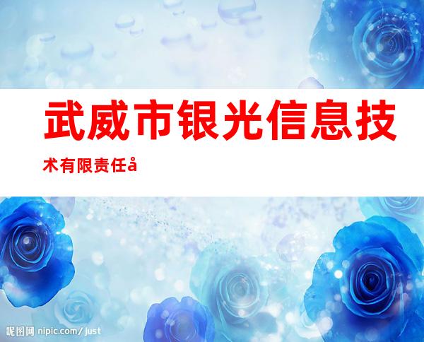 武威市银光信息技术有限责任公司
