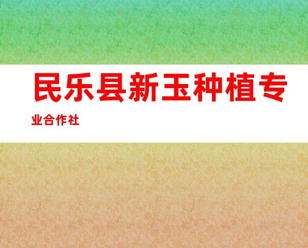 民乐县新玉种植专业合作社