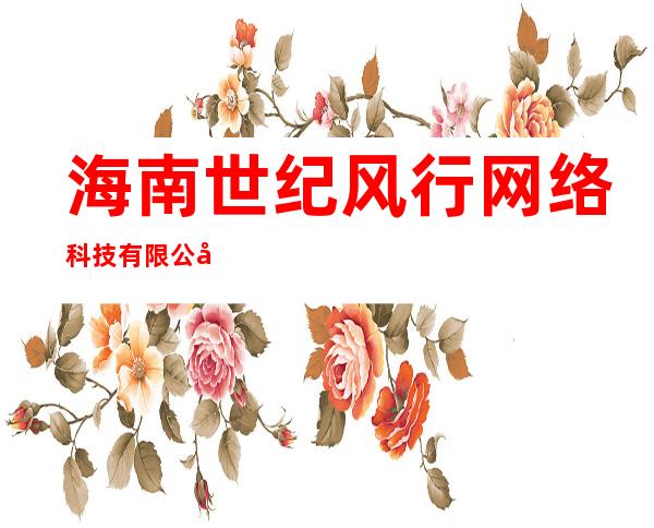 海南世纪风行网络科技有限公司
