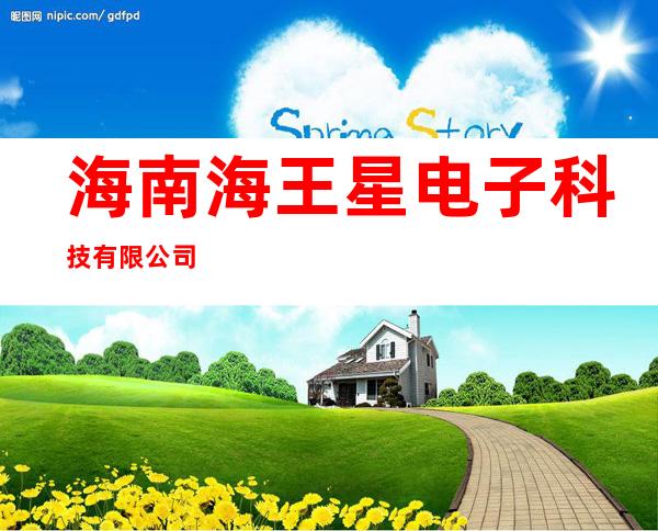 海南海王星电子科技有限公司