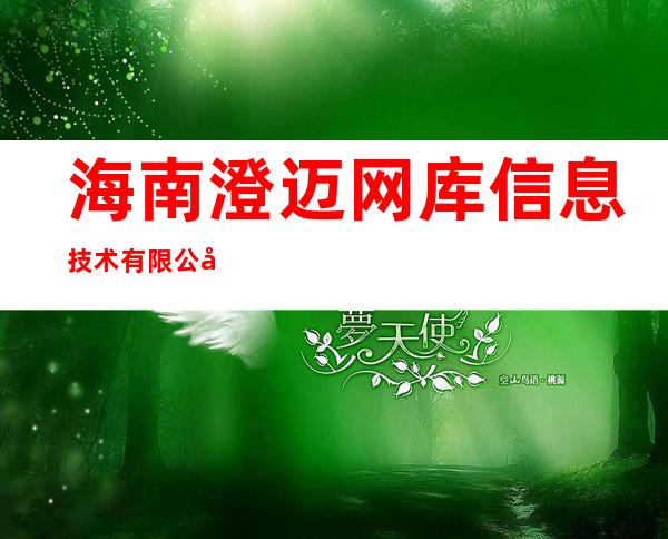 海南澄迈网库信息技术有限公司