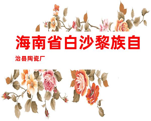 海南省白沙黎族自治县陶瓷厂