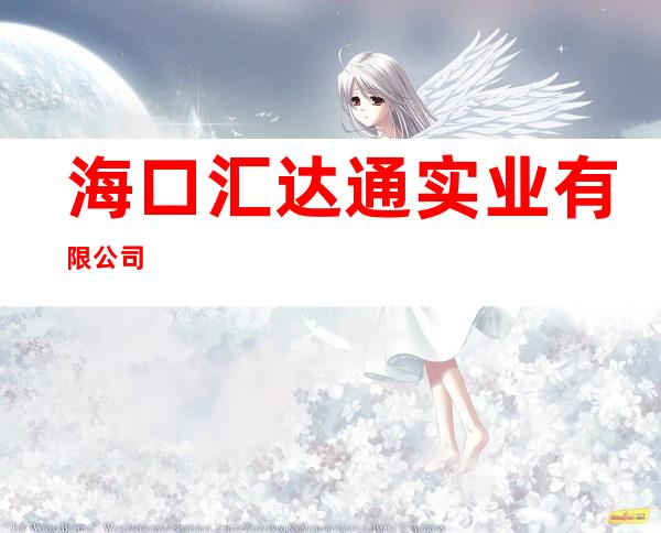 海口汇达通实业有限公司
