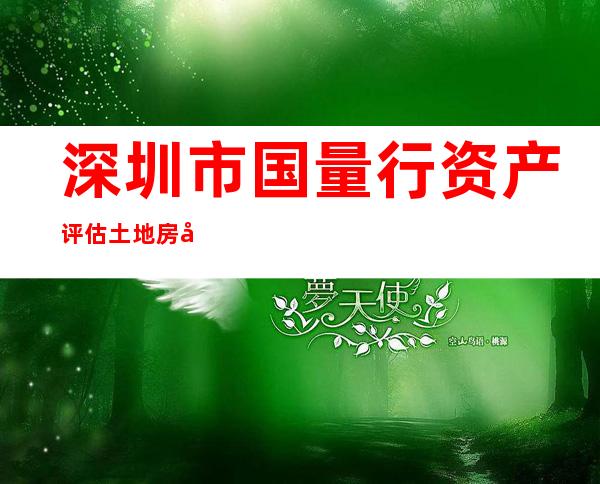 深圳市国量行资产评估土地房地产估价顾问有限公司海南分公司