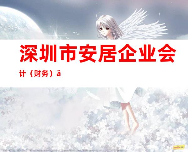 深圳市安居企业会计（财务）代理有限公司
