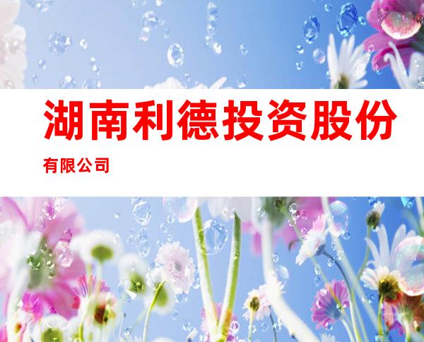 湖南利德投资股份有限公司