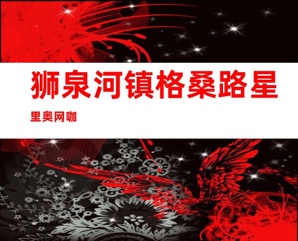 狮泉河镇格桑路星里奥网咖