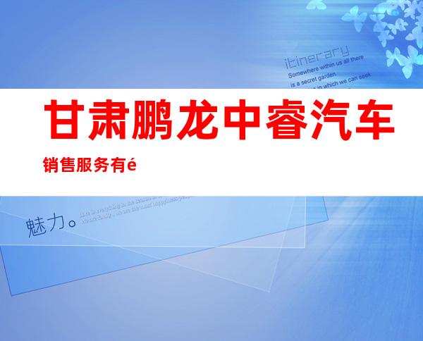 甘肃鹏龙中睿汽车销售服务有限公司